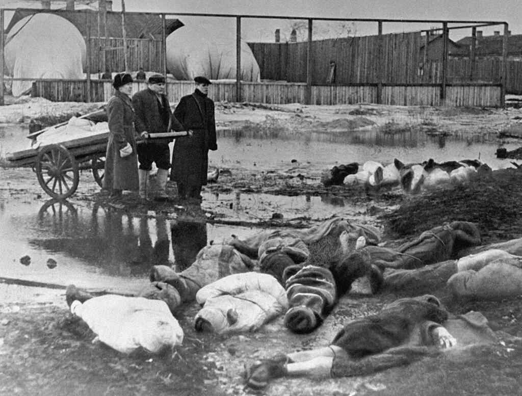 Die Leichen der toten Leningrader werden im Oktober 1942 auf den Friedhof Volkovo gebracht.