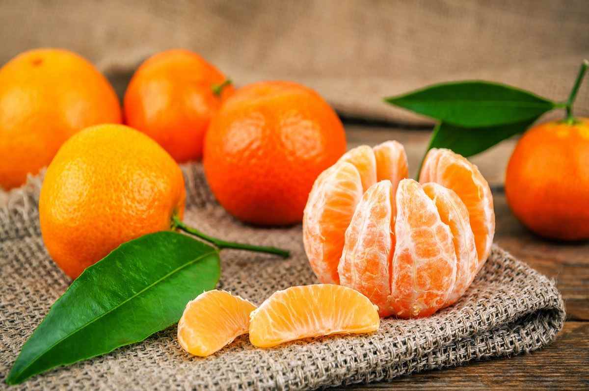 süße und reife Mandarinen (Mandarinen) mit Blättern