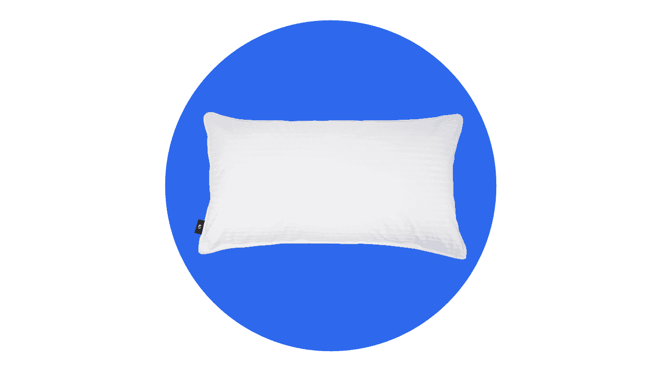 The Luxe Pillow Down and Feather