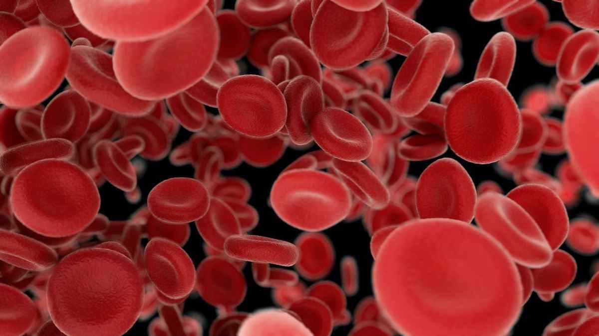 Blutkörperchen fliegen durch Arterien