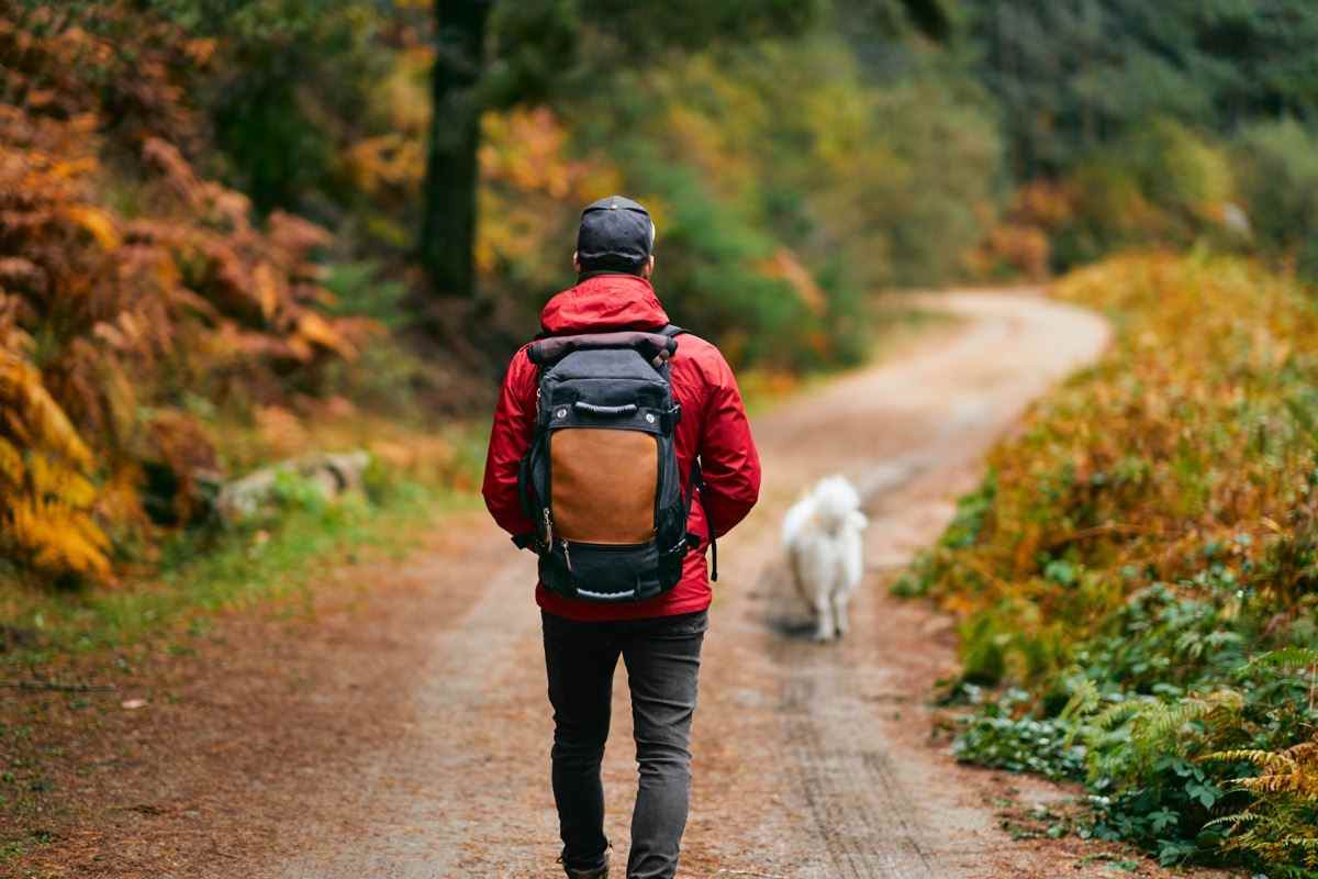 Mann, der mit Hund auf dem Weg mit Rucksack spazieren geht