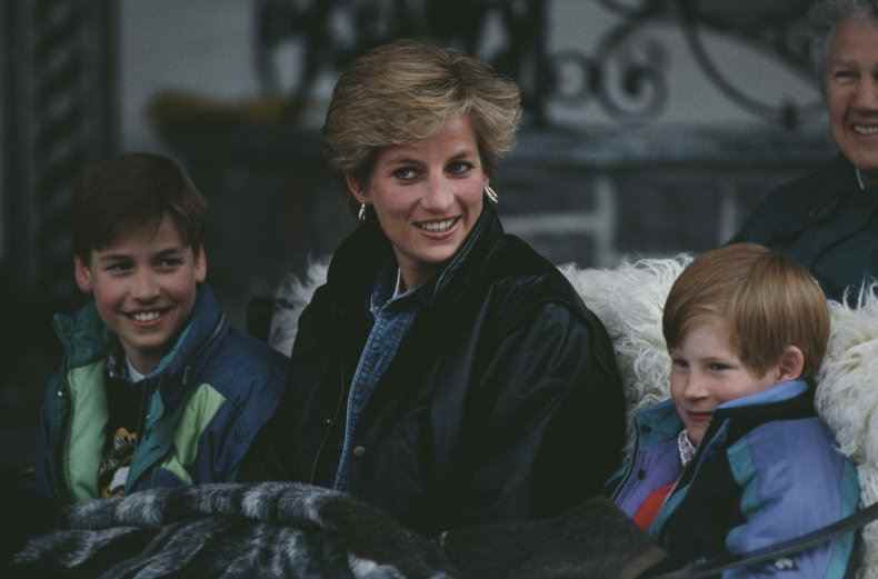 Prinzessin Diana Prinz Harry Prinz William