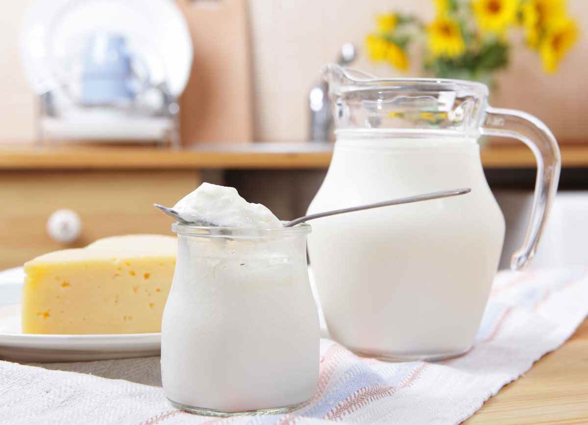 Milchprodukte wie Krug Milchbehälter Joghurt Käse auf Tischdecke