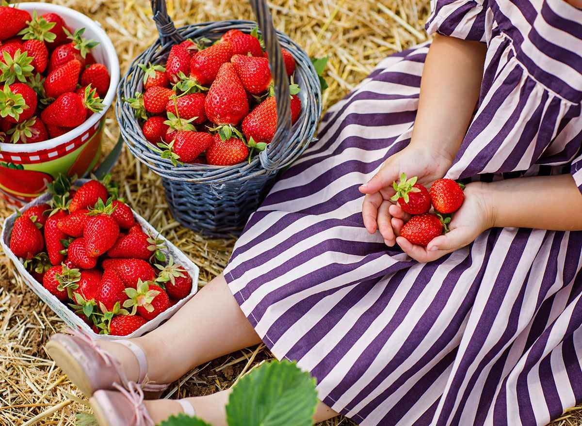 Kleinkind pflückt Erdbeeren