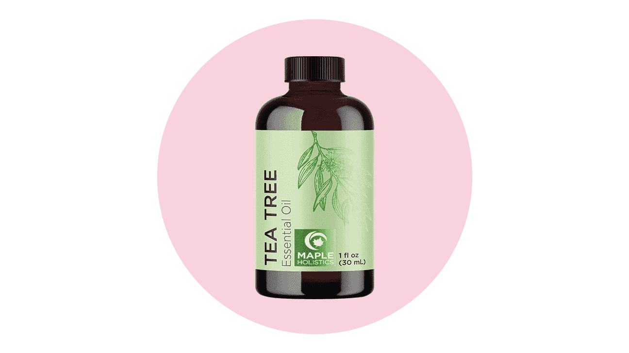 Maple Holistics Tea Tree Essential Oil