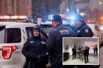 Zwei Angestellte stechen im MoMA, als die Polizei einen Verdächtigen jagt, dem die Mitgliedschaft entzogen wurde