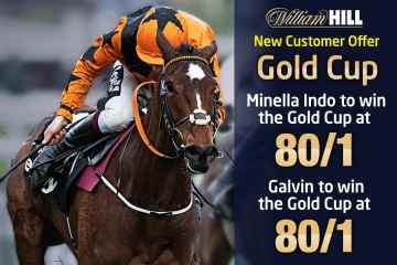 Cheltenham Gold Cup special: Get 80-1 for Minella Indo or Galvin to win