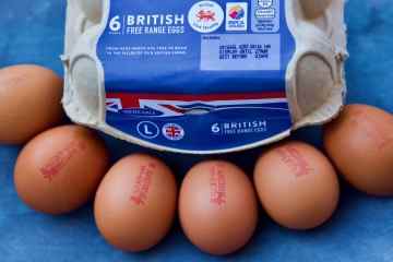 Ab nächster Woche gibt es KEINE Eier aus Freilandhaltung in den Läden - hier ist der Grund