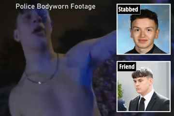 Momentan reicher Teenager belügt Polizisten und weint, nachdem er seinen 17-jährigen Freund erstochen hat