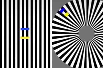 Optische Täuschung zeigt, wie Sie durch sich bewegende Farben getäuscht werden - was sehen Sie?
