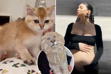 Kylie zeigt nach der Astroworld-Tragödie neue Haustierkatzen- und Diamantengeschenke