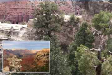 Wanderer im Grand Canyon schreien, als eine Frau beim Fotografieren aus 100 Fuß Höhe in den Tod stürzt