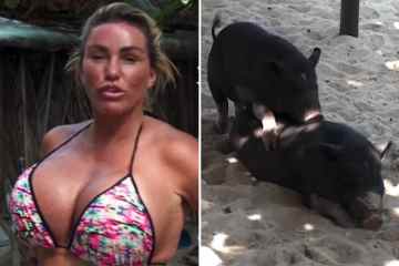 Katie Price vergleicht sich mit einem Schwein, während sie ihre neuen Brüste im Bikini zeigt