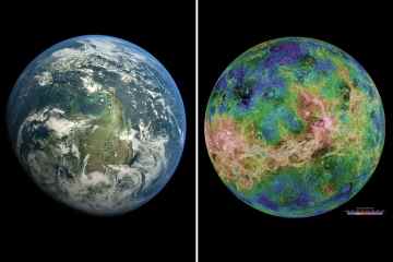 Weltraummissionen zur Venus könnten Beweise dafür finden, dass dort einst Leben existierte