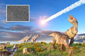 Die Auswirkungen des Asteroiden, der Dinosaurier tötete, waren SCHLECHTER als gedacht, sagen Wissenschaftler