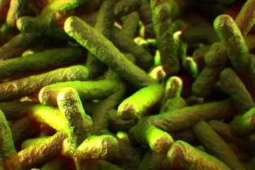 Was Sie über Listerien wissen sollten, die Bakterien, die Sie krank machen können