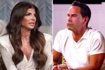Der Verlobte von RHONJ-Star Teresa, Luis, verklagte, weil er sich weigerte, dem Verkäufer 44.000 Dollar zu zahlen