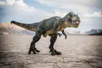 T-Rex entwickelte winzige Arme, um zu verhindern, dass sie von Rivalen abgebissen werden