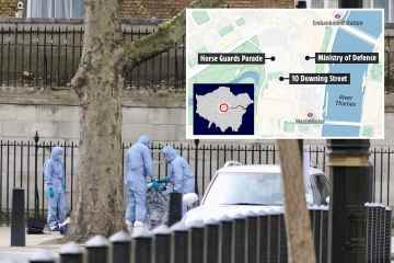 'Knifeman', 29, taserte Yards von der Downing Street, nachdem er Polizisten konfrontiert hatte