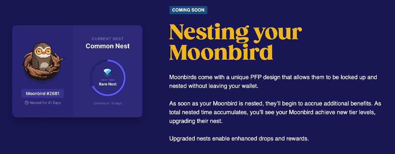 Moonbirds NFT-Verkäufe schießen in die Höhe und erobern 364 Millionen US-Dollar in 5 Tagen