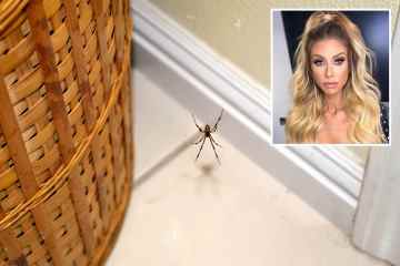 Mrs Hinch-Fans teilen den 5-Pence-Hack, um Spinnen abzuwehren – er hält sie aus dem Haus