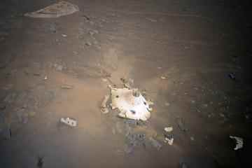 Der Mars-Helikopter der Nasa macht ein unheimliches Bild, das ein abgestürztes UFO zu zeigen scheint