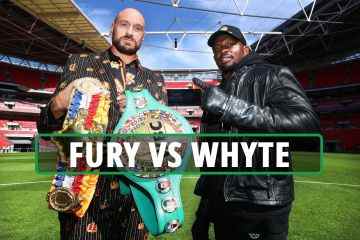 Wie man den RIESIGEN Wembley-Showdown zwischen Fury und Whyte sieht