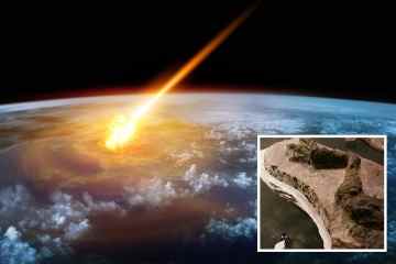 Dinosaurier, „der starb, als der Asteroid TAG einschlug“, wurde bei der weltweit ersten Entdeckung entdeckt