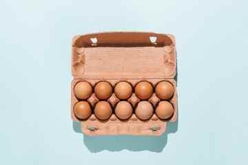 Ab dem genauen Datum könnt ihr wieder Eier aus Freilandhaltung im Supermarkt kaufen
