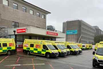 Schlaganfallpatienten warten in einigen Teilen Englands ZWEI STUNDEN auf Krankenwagen