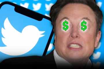 Elon Musk könnte einige Twitter-Nutzer dazu bringen, eine „geringe“ Gebühr zu zahlen – werden Sie davon betroffen sein?