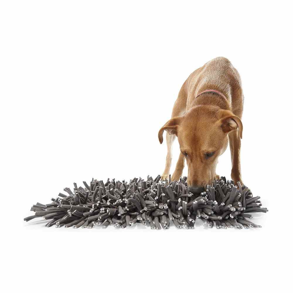 Brauner Hund schnüffelt graue Paw5 Wooly Snuffle Hundefütterungsmatte auf weißem Hintergrund
