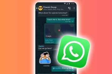 Ich bin ein WhatsApp-Experte – ein Schock-Update könnte Sie in Gruppenchats entlarven