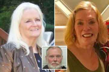 Rätsel um vermisste Frau gelöst, nachdem entscheidender Hinweis auf „Serienmörder“ gefunden wurde