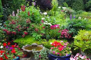 Ich bin ein Gartenprofi – einige Pflanzen halten 50 Jahre OHNE Wartung