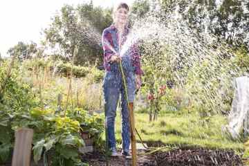 Ich bin Gartenexpertin - der richtige Zeitpunkt, um Pflanzen zu gießen, damit sie gesund bleiben