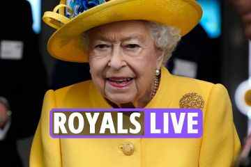 Panik, da Experten prognostizieren, dass die Popularität der Royals nach der Queen absacken wird