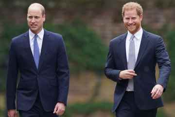Harry & William haben „wöchentliche Videoanrufe, um die Kluft vor dem Jubiläum der Königin zu reparieren“