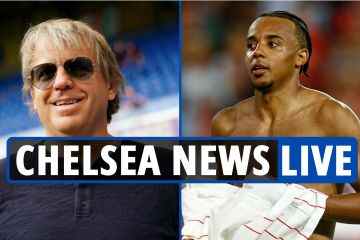 Die britische Regierung und die Premier League genehmigen die Übernahme von Chelsea durch Todd Boehly