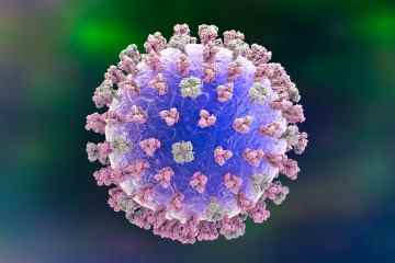 Neue Covid-Variante könnte für den Hepatitis-Ausbruch bei Kindern verantwortlich sein, warnen Experten