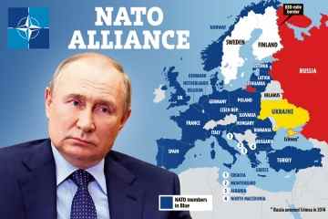 Finnen und Schweden werden nach dem historischen britischen Sicherheitspakt „innerhalb von Monaten“ der Nato beitreten