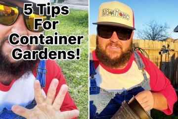 Ich bin ein Gartenexperte – fünf Tipps für den eigenen Garten zu Hause