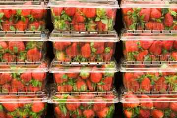 Warnung vor Erdbeeren von Walmart & Trader Joe's nach Ausbruch von Hepatitis A