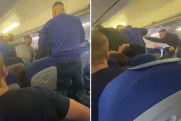 Schockierender Moment: Passagier SCHLÄGT wiederholt Mann im Flugzeug, als 6 verhaftet wird