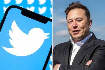 In Elon Musks Twitter-Deal – was die 44-Milliarden-Dollar-Übernahme zurückhält