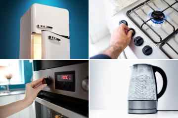 Ich bin ein Geräteprofi – vier Geräte in Ihrer Küche treiben die Energierechnung in die Höhe