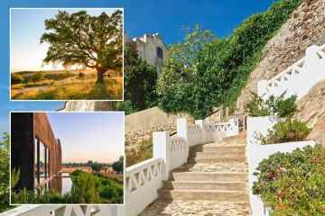 Entfliehen Sie den Menschenmassen an der Algarve und fahren Sie nach Norden, um Wildtiere und ein Juwel einer römischen Stadt zu entdecken