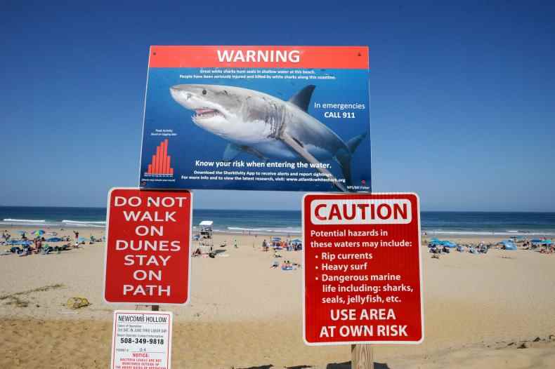 Warnung vor dem Weißen Hai