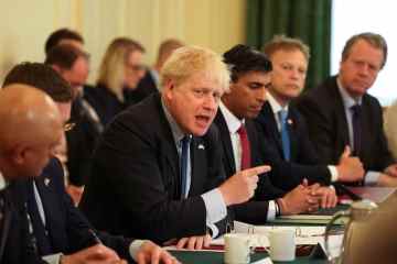 Der optimistische Boris wischt die blutige Abstimmung über die Führung ab, als er das Kabinett versammelt