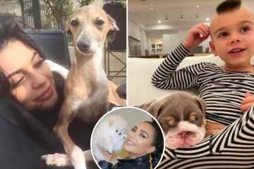 Sehen Sie sich die Hunde der Kardashians an, von Scotts 25.000-Dollar-Bulldogge bis zu Kylies NINE Greyhounds